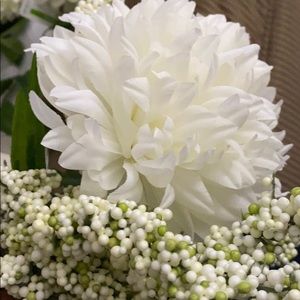 Meet your Posher, Fabiola